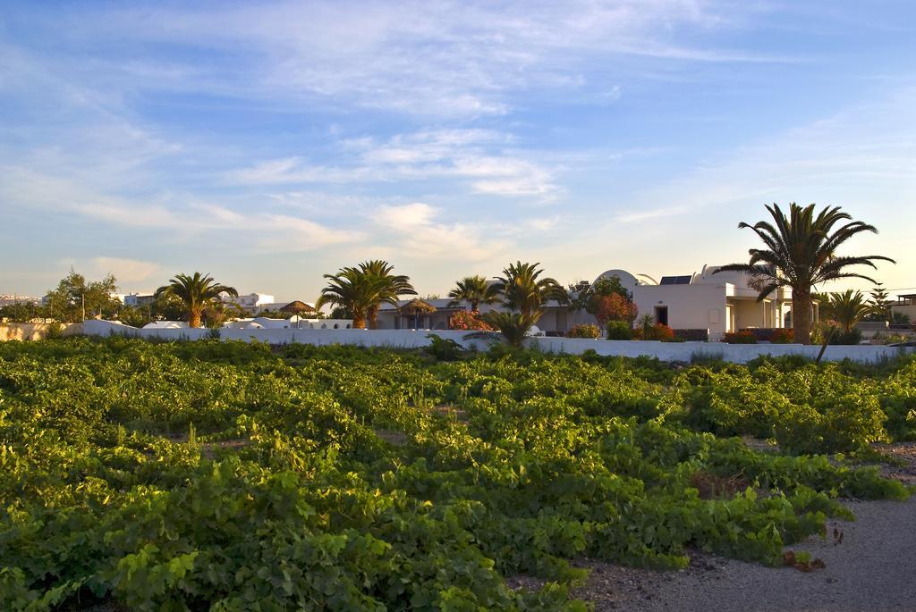 Alafouzos Studios & Apartments Kamari  Exterior photo